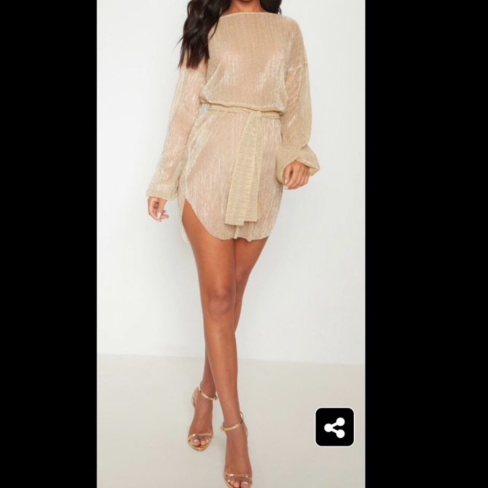 NWT- Gold Plisse Balloon Sleeve Sheer Shift Dress
